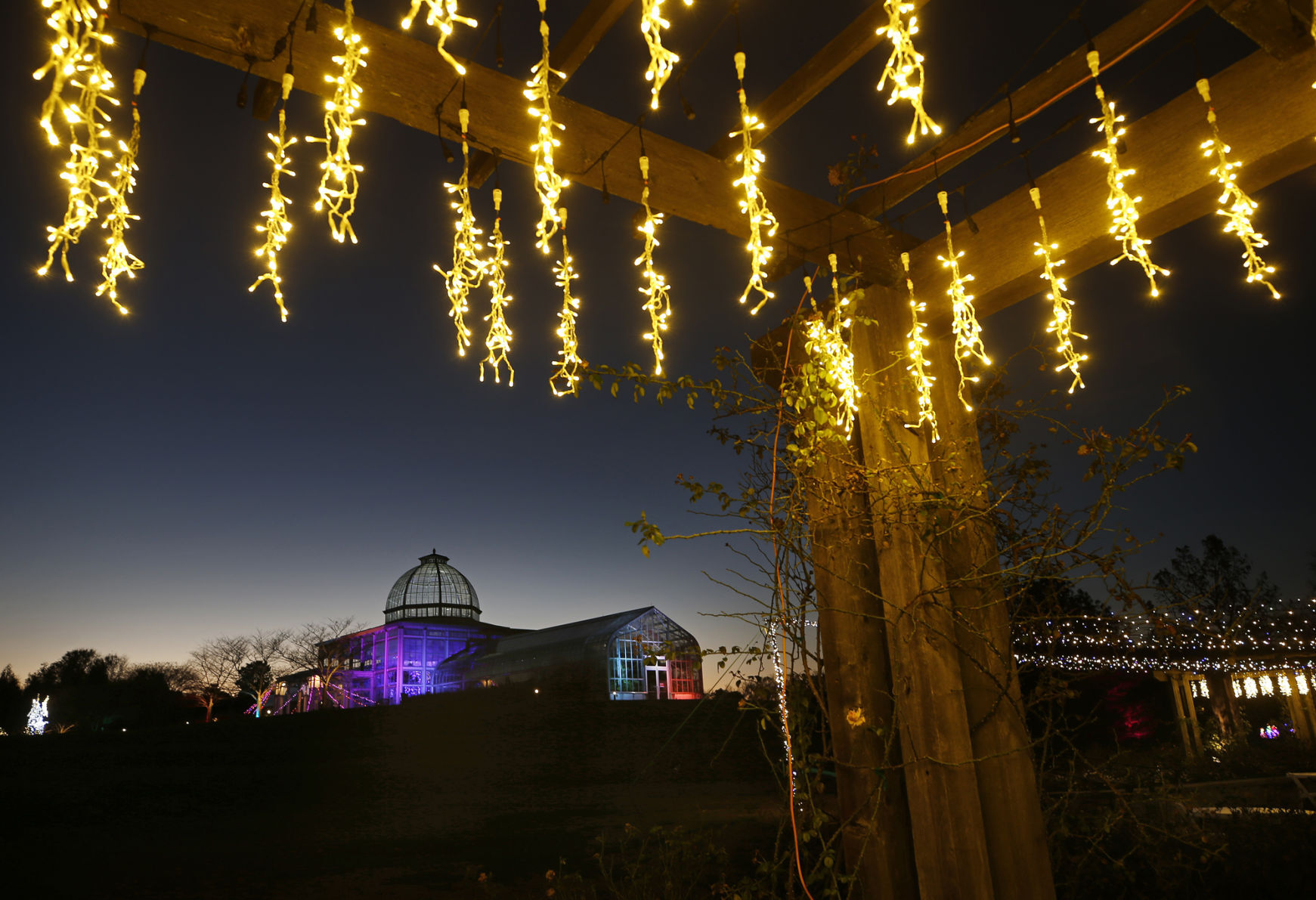 20201120_MET_LIGHTS_AWE01